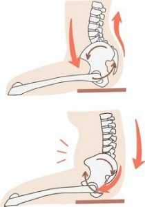 座って骨盤が経つイラスト　AC